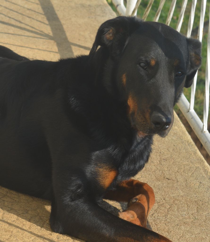 Hera de l'enclos d'Usco